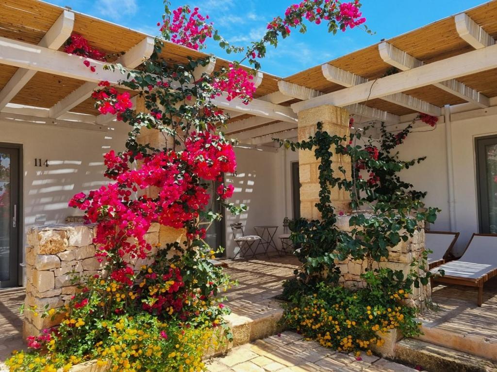 Masseria Baroni Di Montesardo Lido Marini Exterior foto